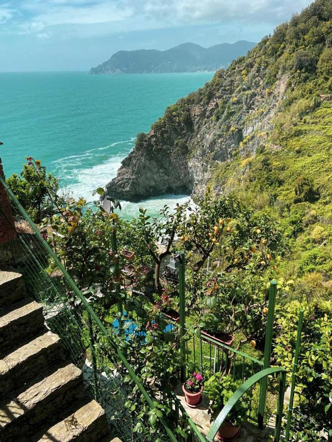 Villa Il Grecale - Confirenthouse Corniglia Exterior foto